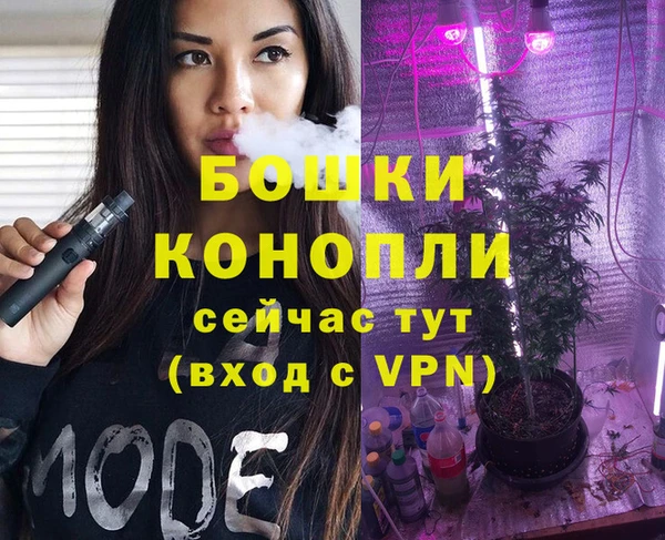 прущие грибы Баксан