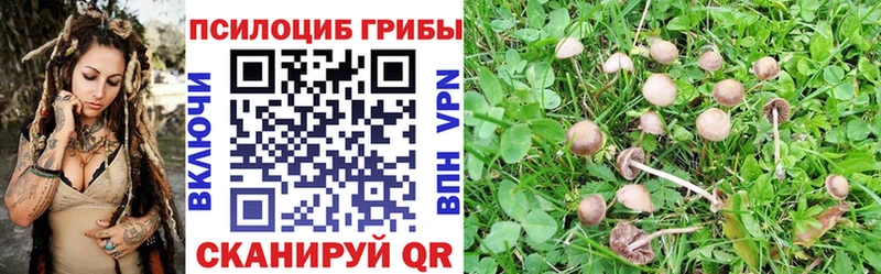 omg ссылка  где можно купить   Семилуки  Псилоцибиновые грибы мицелий 